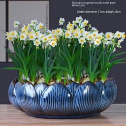 image-Non-porous Hydroponic Flowerpot Narcissus Hydrocotyle Household