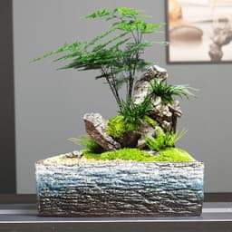 image-Simple Rectangular Stoneware Hydroponic Flowerpot