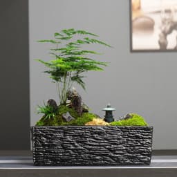 image-Simple Rectangular Stoneware Hydroponic Flowerpot