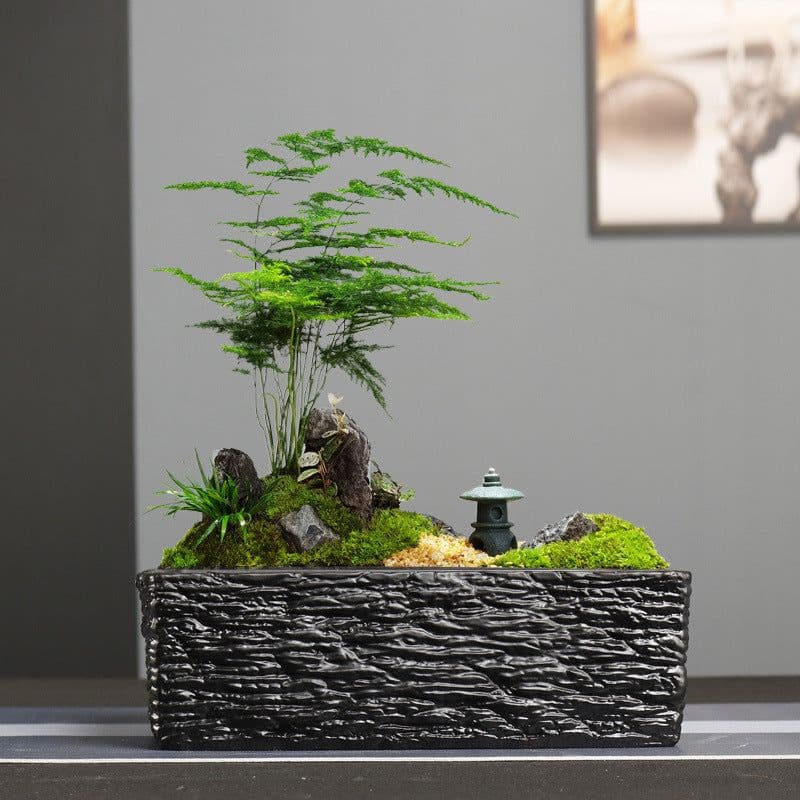 image-Simple Rectangular Stoneware Hydroponic Flowerpot
