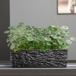 image-Simple Rectangular Stoneware Hydroponic Flowerpot