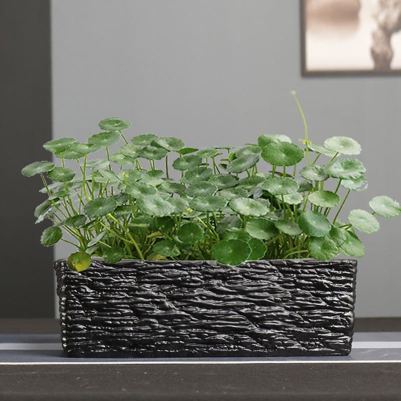 image-Simple Rectangular Stoneware Hydroponic Flowerpot