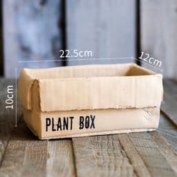 image-Cement Brown Paper Box Flowerpot Creative Planting Indoor Balcony