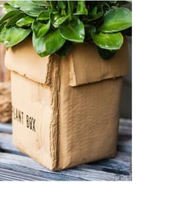 image-Cement Brown Paper Box Flowerpot Creative Planting Indoor Balcony
