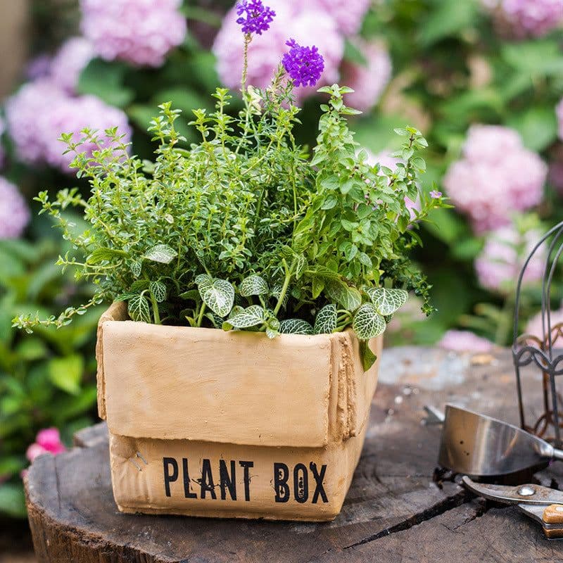 image-Cement Brown Paper Box Flowerpot Creative Planting Indoor Balcony