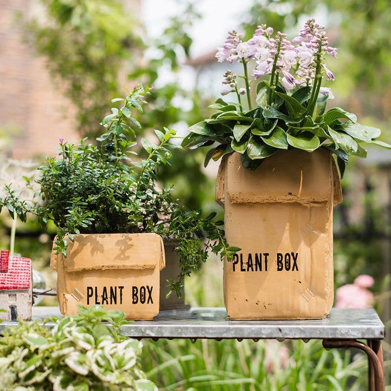 image-Cement Brown Paper Box Flowerpot Creative Planting Indoor Balcony