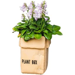 image-Cement Brown Paper Box Flowerpot Creative Planting Indoor Balcony