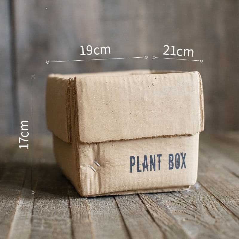 image-Cement Brown Paper Box Flowerpot Creative Planting Indoor Balcony