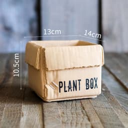 image-Cement Brown Paper Box Flowerpot Creative Planting Indoor Balcony