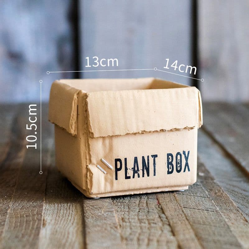 image-Cement Brown Paper Box Flowerpot Creative Planting Indoor Balcony