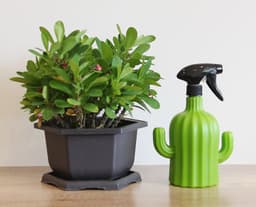 image-Cactus Watering Can Home Gardening Air Pressure
