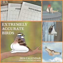 image-2024 Extremely Accurate Birds Calendar Decorative Wall Monthly Calendar For Bird Lovers Room Calendars For Bedroom Living