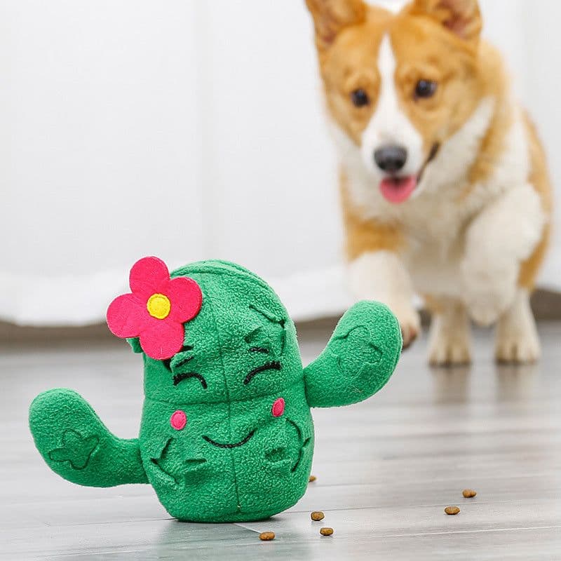 image-Ouets En Peluche Pour Animaux De Compagnie, 3 En 1, Cactus Avec Balle Dananas, Jouets De Styliste Pour Chiens ,Formation Du Qi, Jouets Pour Animaux De Compagnie
