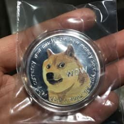 image-WOW Dogecoin To The Moon In Doge We Trust Gold Plated Commemorative Coins Cute Dog Pattern Printed Cllection Gifts