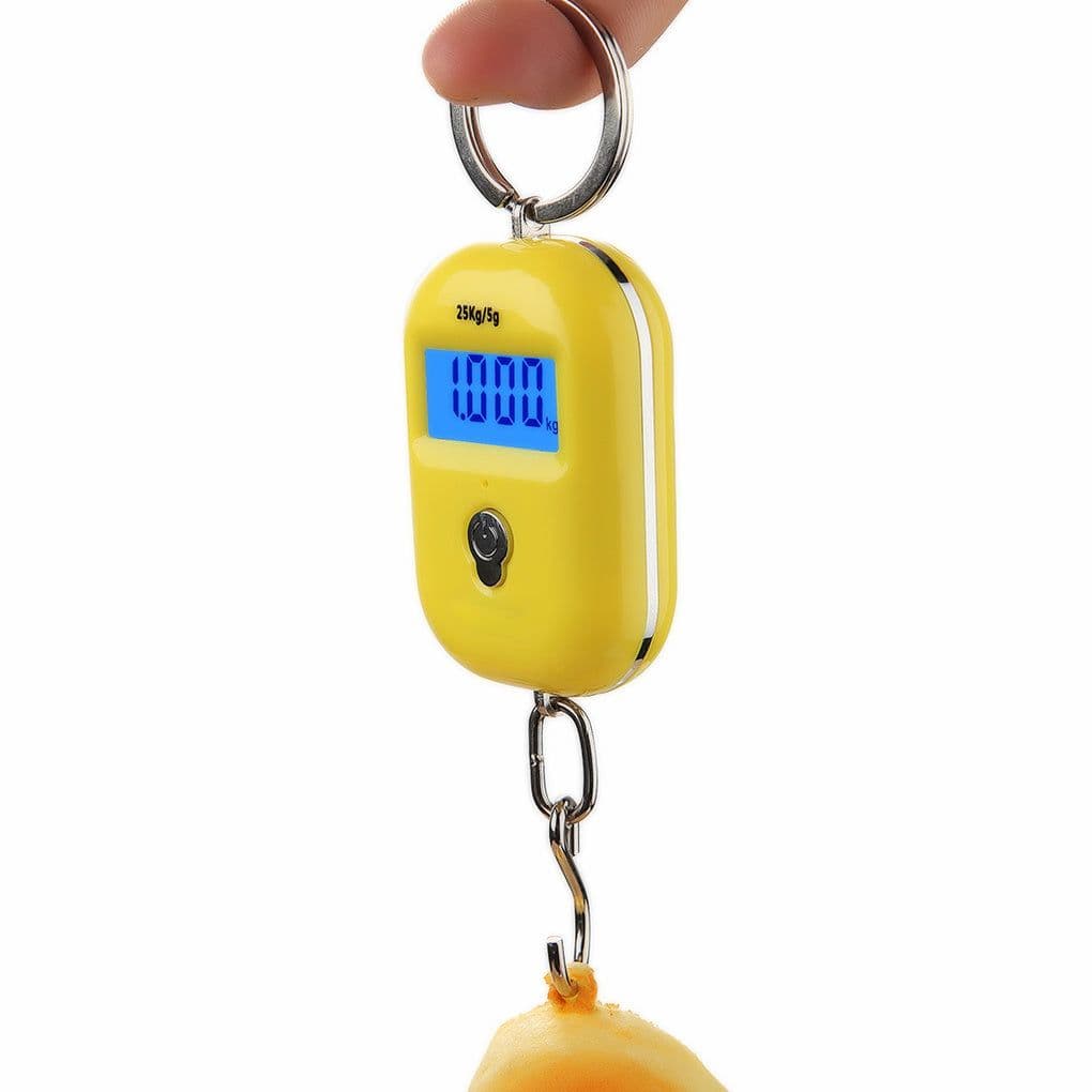 image-High Precision Portable Electronic Scale Household Mini Portable Grocery Shopping Small Hook Luggage Weighing Hook Weighing Fish Small Scale