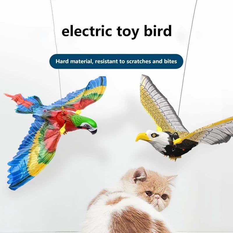 image-Simulation Bird Cat Interactive Pet Toys Hanging Eagle Flying Teasering Play Kitten Dog Toys Animals Cat Accessories Supplies