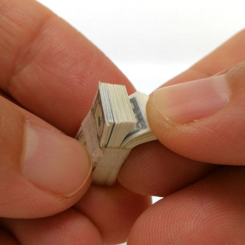 image-Pocket Dollar Bill Doll House Restaurant Food And Play