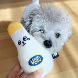 image-A Small Bottle Of Mayonnaise And Ketchup To Accompany The Sleeping Dog With A Sound Toy