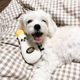 image-A Small Bottle Of Mayonnaise And Ketchup To Accompany The Sleeping Dog With A Sound Toy