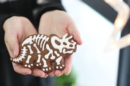 image-Dinosaur Biscuit Mould Sugar Craft Embossing Mold 3D Dessert Baking Mold Fondant Decoration Tool