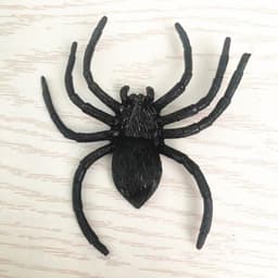 image-Simulation Big Spider Halloween Black