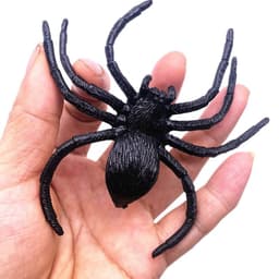 image-Simulation Big Spider Halloween Black
