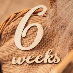 image-Moon Age Growth Record Wooden Photo Photography Props