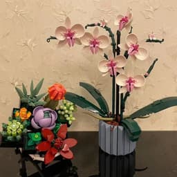 image-Home Variety Orchid Bouquet Succulent Ornaments Blocks Beneficial Intelligent Toys