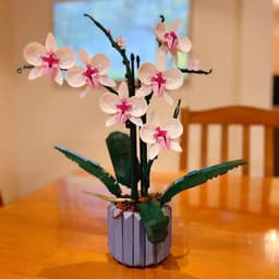 image-Home Variety Orchid Bouquet Succulent Ornaments Blocks Beneficial Intelligent Toys