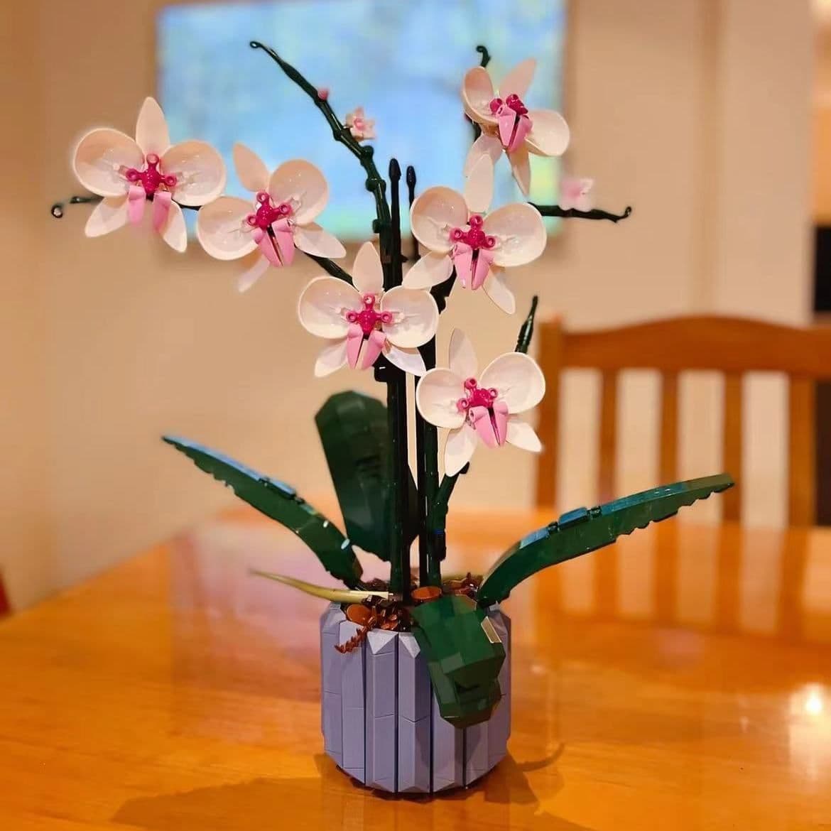 image-Home Variety Orchid Bouquet Succulent Ornaments Blocks Beneficial Intelligent Toys