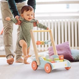 image-ROBUD Wooden Baby Walker Push With ABC 123 Traffic Sign Gifts For Todders 3 Year