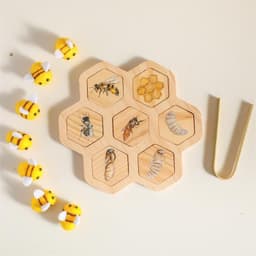 image-Montessori Natural Science Teaching Aids Bee Puzzle Early Education Cognitive Toys