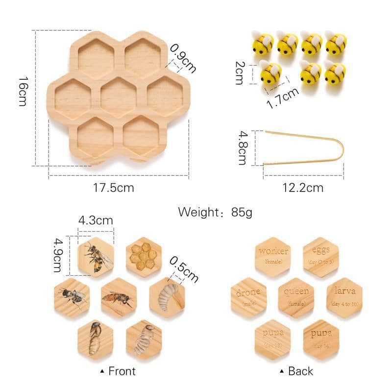 image-Montessori Natural Science Teaching Aids Bee Puzzle Early Education Cognitive Toys