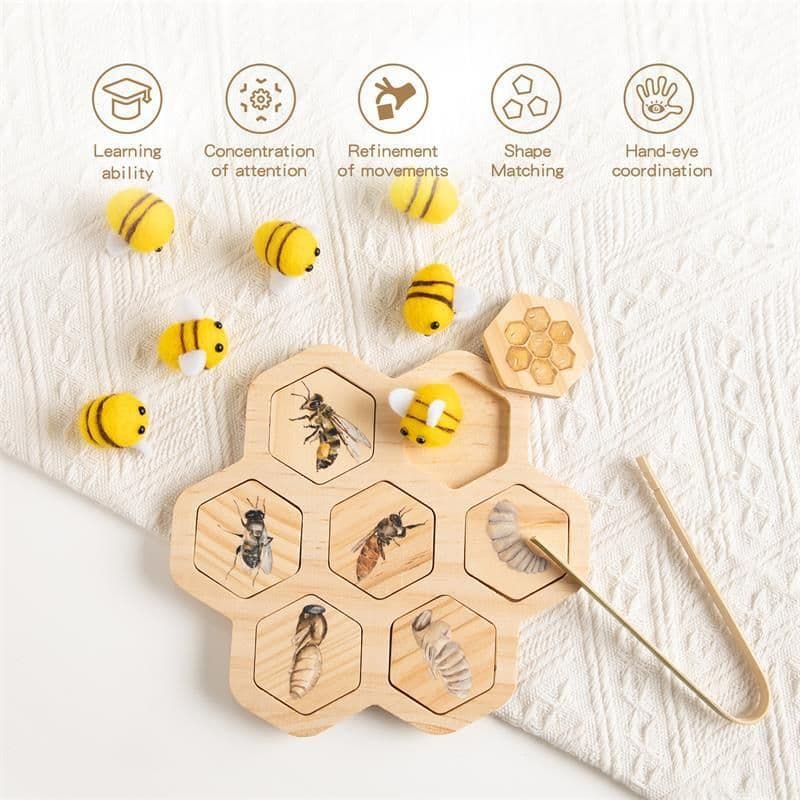 image-Montessori Natural Science Teaching Aids Bee Puzzle Early Education Cognitive Toys