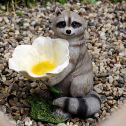 image-Garden Courtyard Decoration Raccoon Bird Feeder Ornaments Yard Gardening Creative Outdoor Landscaping Layout Resin Crafts