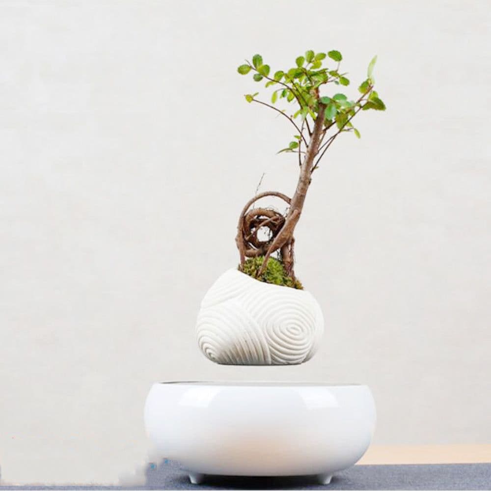 image-Magnetic Levitation Potted Plants