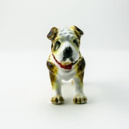 image-French Bulldog Dog