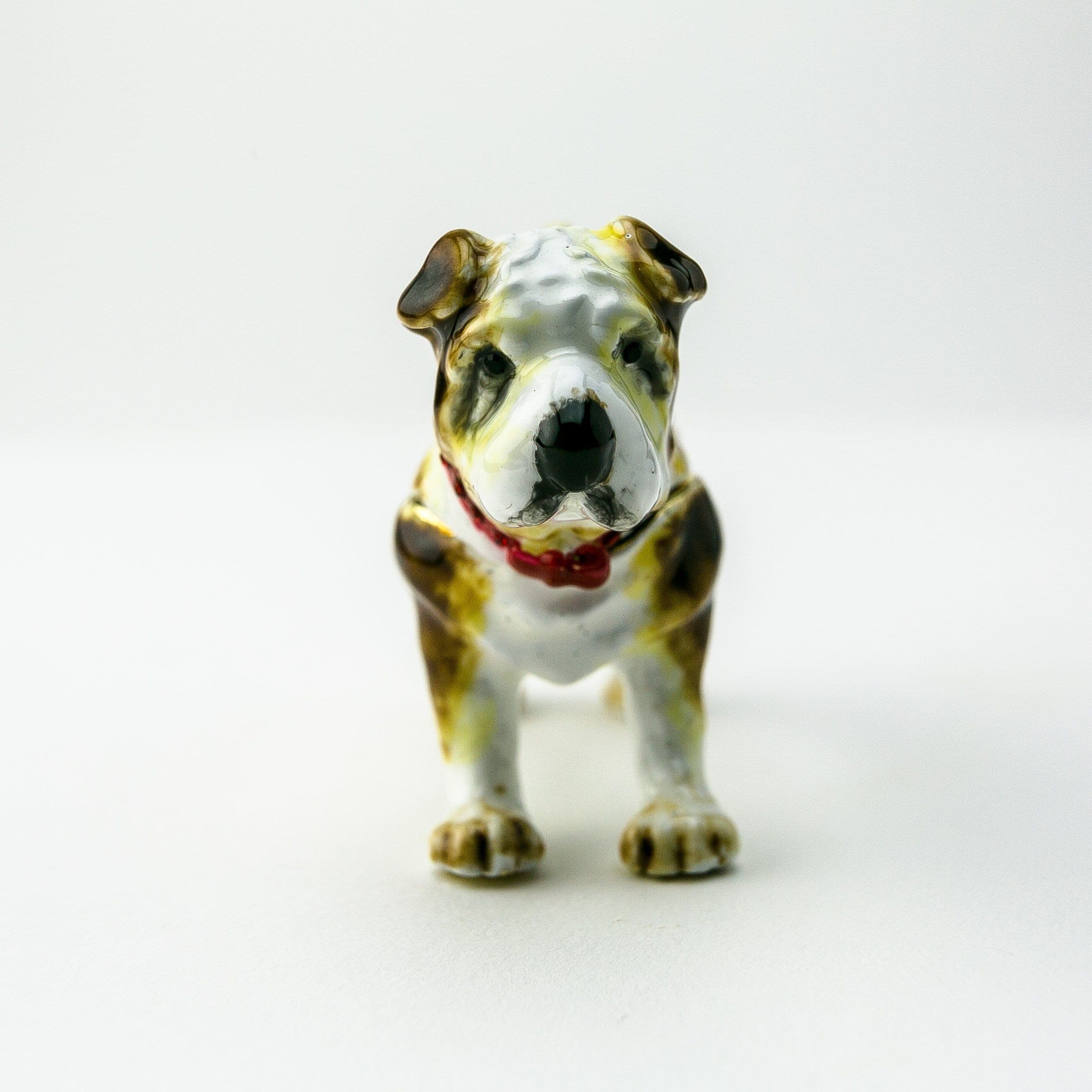 image-French Bulldog Dog
