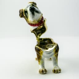image-French Bulldog Dog