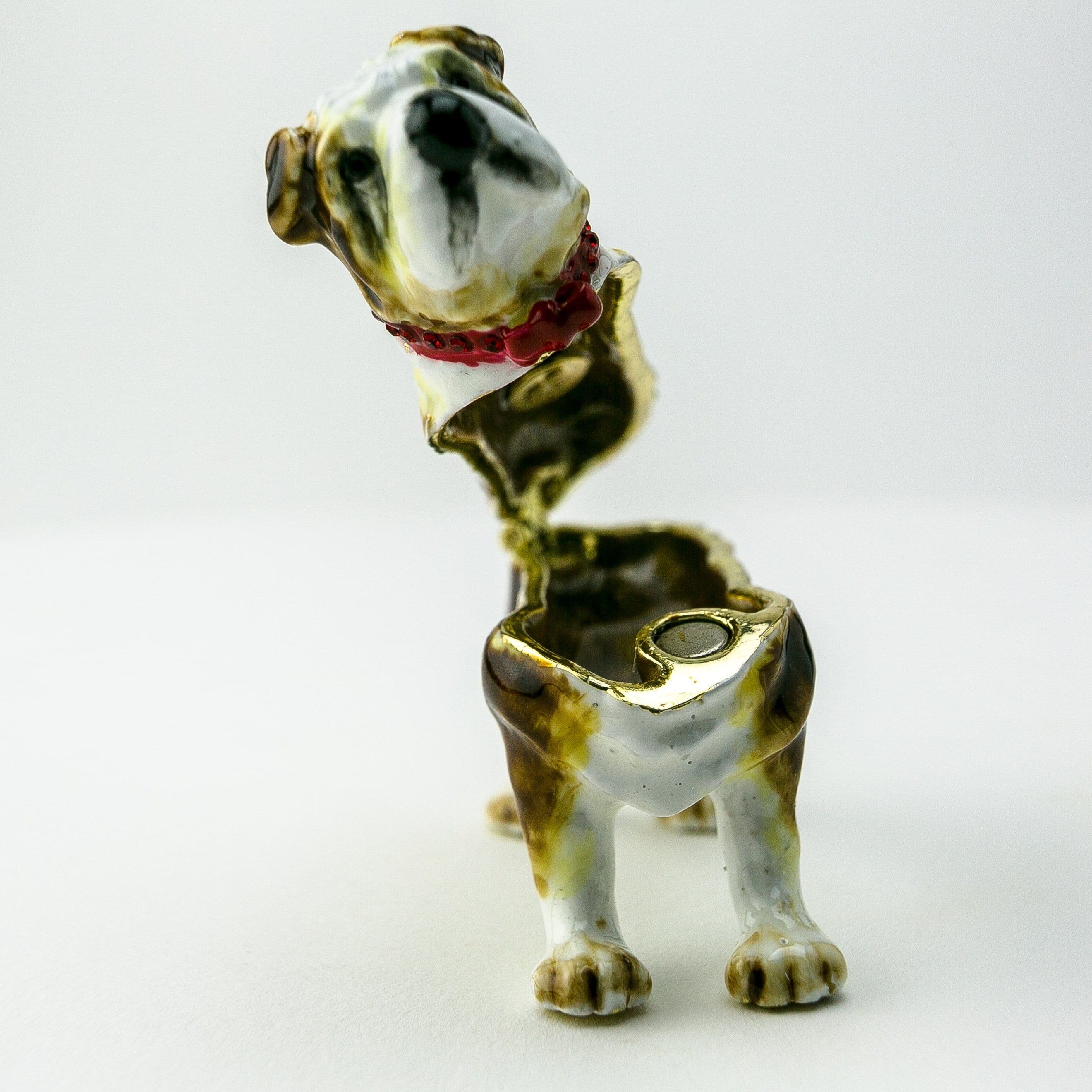 image-French Bulldog Dog