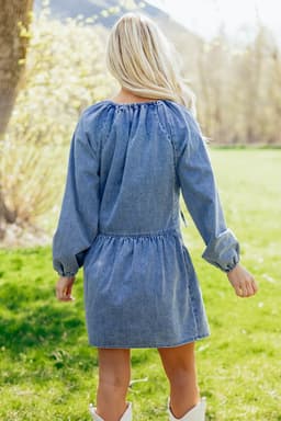 image-Myosotis Denim Mini Dress - Puff Sleeve V Neck
