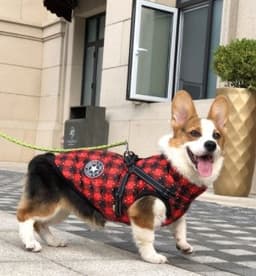 image-Pet Dog Clothes For Small Dogs Winter Warm Dog Hooded Coat Jackets Chihuahua Pug Outfits Puppy Cat Clothing