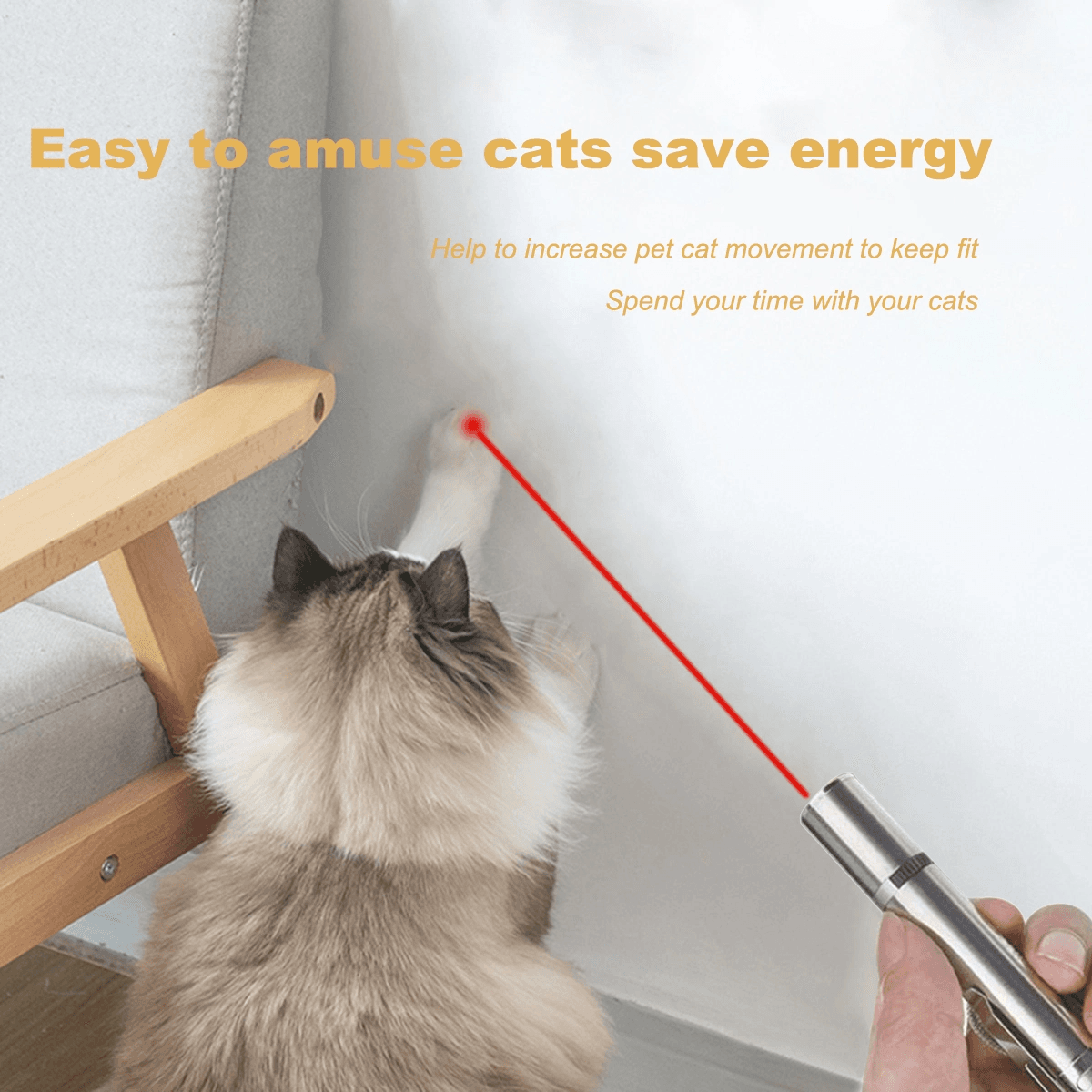 image-Pet Training Exercise Tool Cat Toys LED Pointer