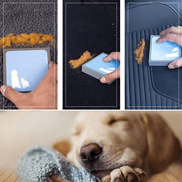 image-Cat Brush Foam Sponge Pet Hair Fur Remover Static Electricity Cleaner