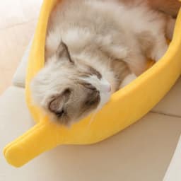 image-Funny Banana Cat Bed House Cute Cozy Cat Mat Beds
