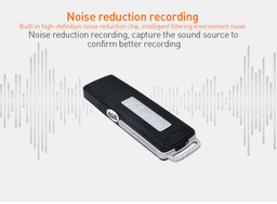 image-OTG USB Mini Digital Voice Recorder Audio Spy USB Recorder