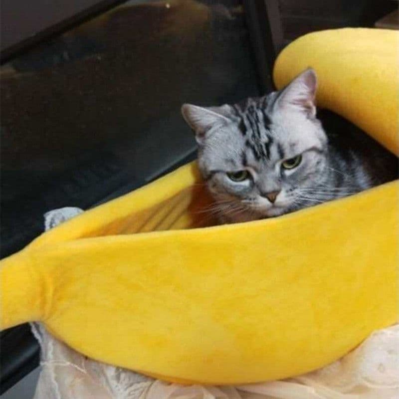 image-Funny Banana Cat Bed House Cute Cozy Cat Mat Beds