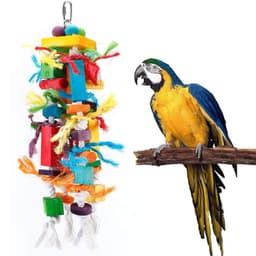 image-Wooden Color Nibbling Toy Medium And Large Parrot Bird