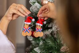 image-Christmas Ornaments Penis x2 - Wooden Phallus for Christmas Tree