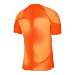 image-Nike Dri-FIT ADV Gardien 4 M DH7760-819 goalkeeper jersey